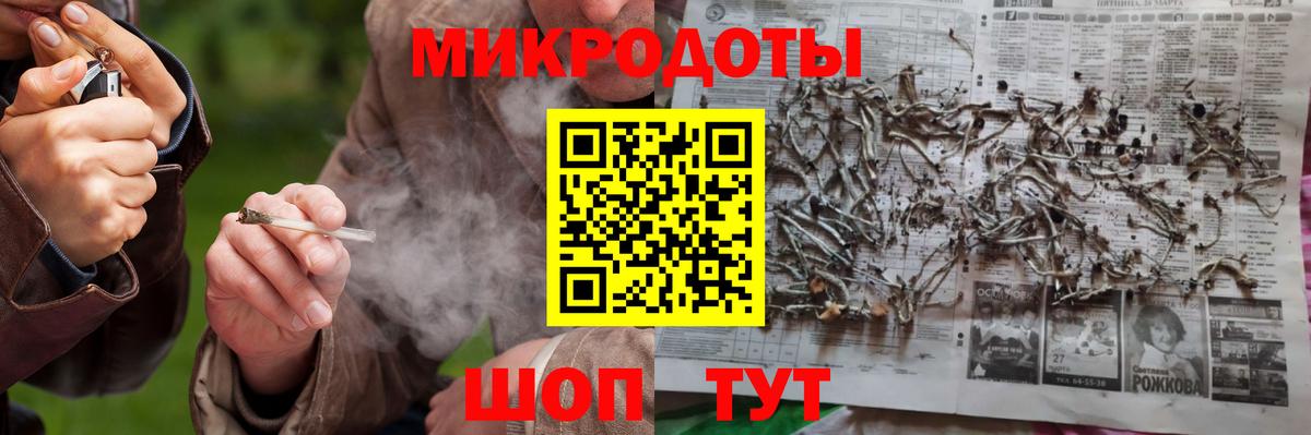 Галлюциногенные грибы Psilocybe Серов