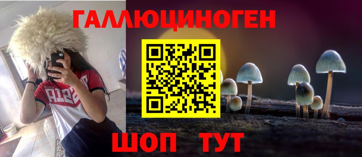 Серов  Псилоцибиновые грибы Psilocybe  что такое   Вход с VPN  Псилоцибиновые грибы мухоморы 